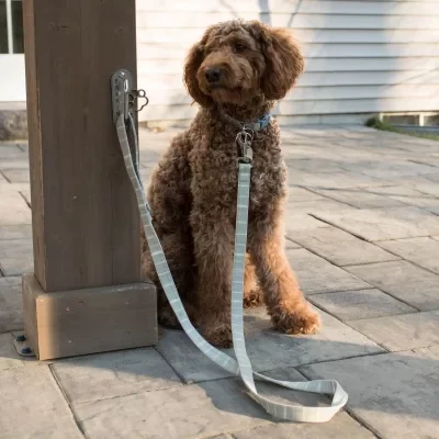 dog parking hook main